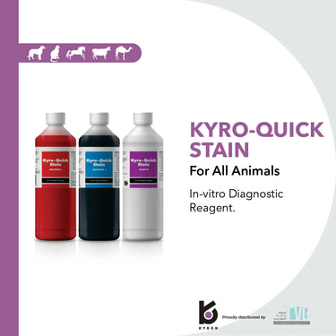 Kyro-Quick Stain Blue 500ml